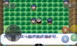 神奇宝贝剑盾最新爆料,揭秘神奇宝贝剑盾最新爆料与神秘角色