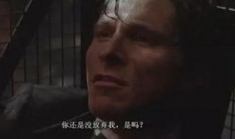 饭圈最新爆料电影